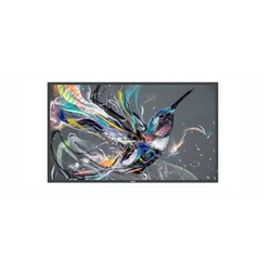 Philips 43 Inch Q Series 4K 18/7 400nit Professional Display